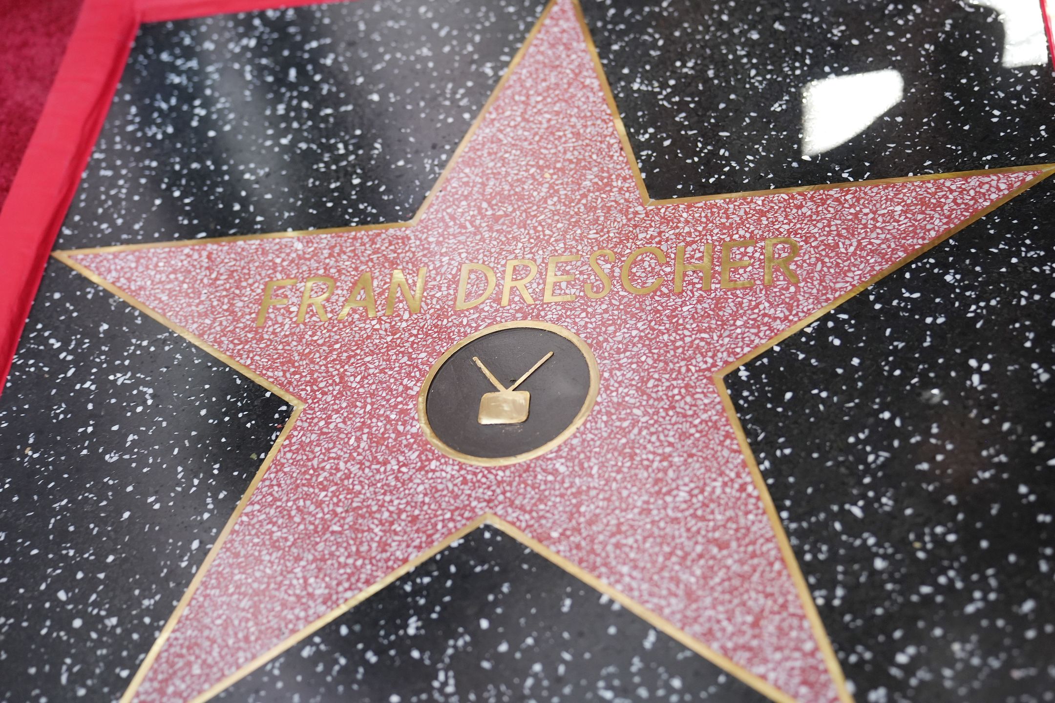 Gwiazda Fran Drescher