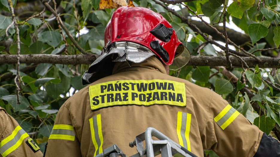 East News archiwum 2024
Fot. NewsLubuski/East News, Zielona Gora, 06.10.2023. Strazacy usuwaja konar drzewa zwisajacy nad droga przy uzyciu drabiny mechanicznej
NewsLubuski