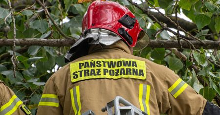 Wrocław: drzewo runęło na dziecko jadące rowerem