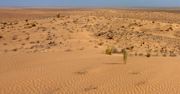 Odkrycie na Saharze. Ma więcej lat niż Ziemia