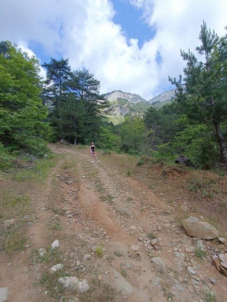 Thassos Ipsarion