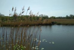 Warszawa. Kąpieliska i plaże wokół stolicy. Podpowiadamy, gdzie wypocząć