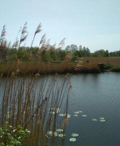 Warszawa. Kąpieliska i plaże wokół stolicy. Podpowiadamy, gdzie wypocząć