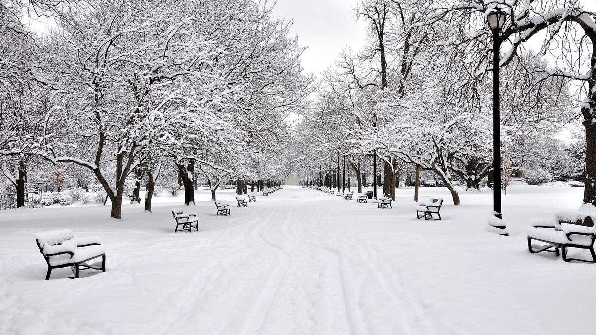 Sroga zima w Polsce?