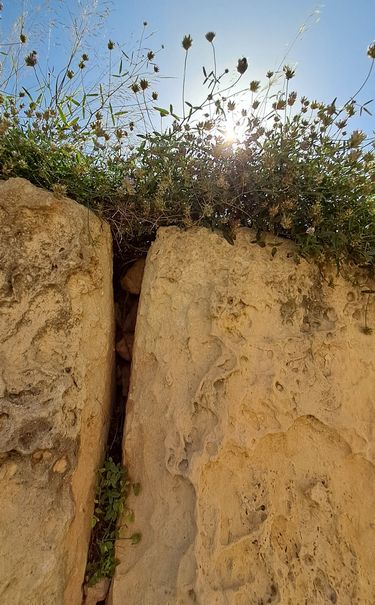 Die Tempel sind aus großen Kalksteinblöcken gebaut.