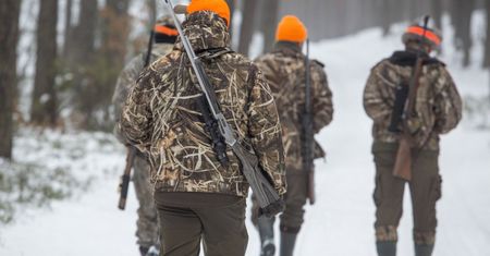 Polują bez egzaminów. Afera w Polskim Związku Łowieckim