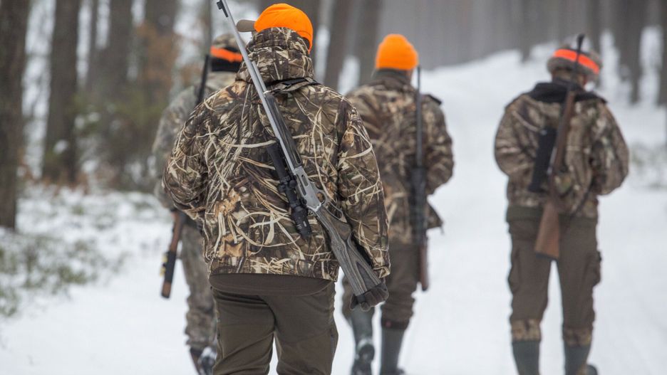 Polowanie na dziki
13.01.2019 Okolice Nowogrodu polowanie  N/z myslimy    fot Marek Maliszewski/REPORTER
Marek Maliszewski/REPORTER