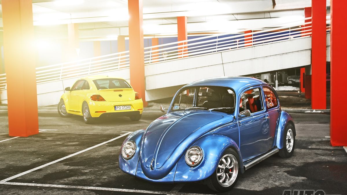 VW The Beetle & garbaty Garbus [galeria] 1