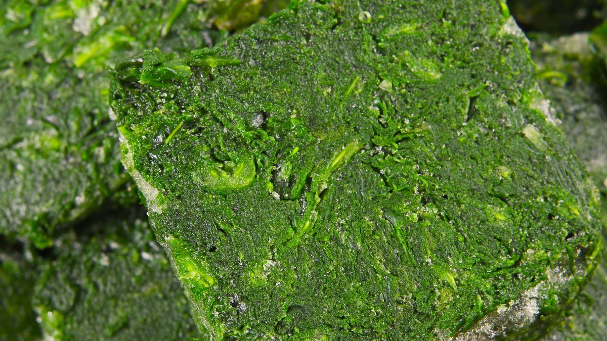 Jakie mrożone produkty warto jeść zimą?