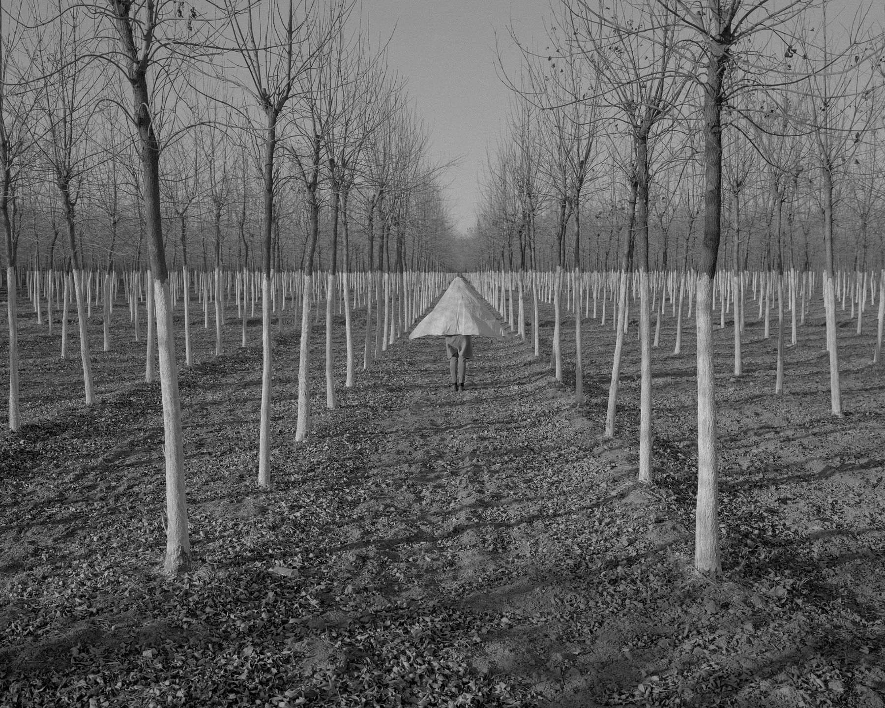 Sony World Photography Awards 2017 - poznajcie zwycięzców największego konkursu fotograficznego świata 15