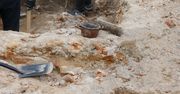 Znaleźli ślady przedwiecznego alkoholu na Podlasiu. To mogło być piwo