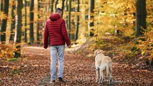 Idziesz z psem do lasu? Trwa akcja "Jesień 26". O tej zasadzie wielu opiekunów zapomina