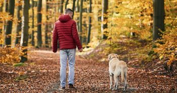 Idziesz z psem do lasu? Trwa akcja "Jesień 26". O tej zasadzie wielu opiekunów zapomina