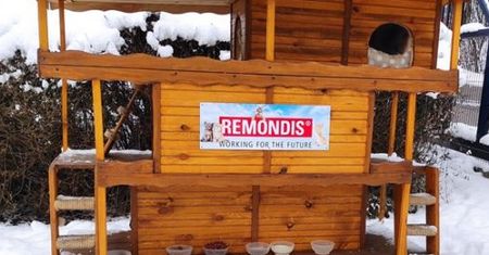 Sosnowiec. Kotom nie będzie już zimno. W bazie Remondisu stanęły dla nich specjalne domki