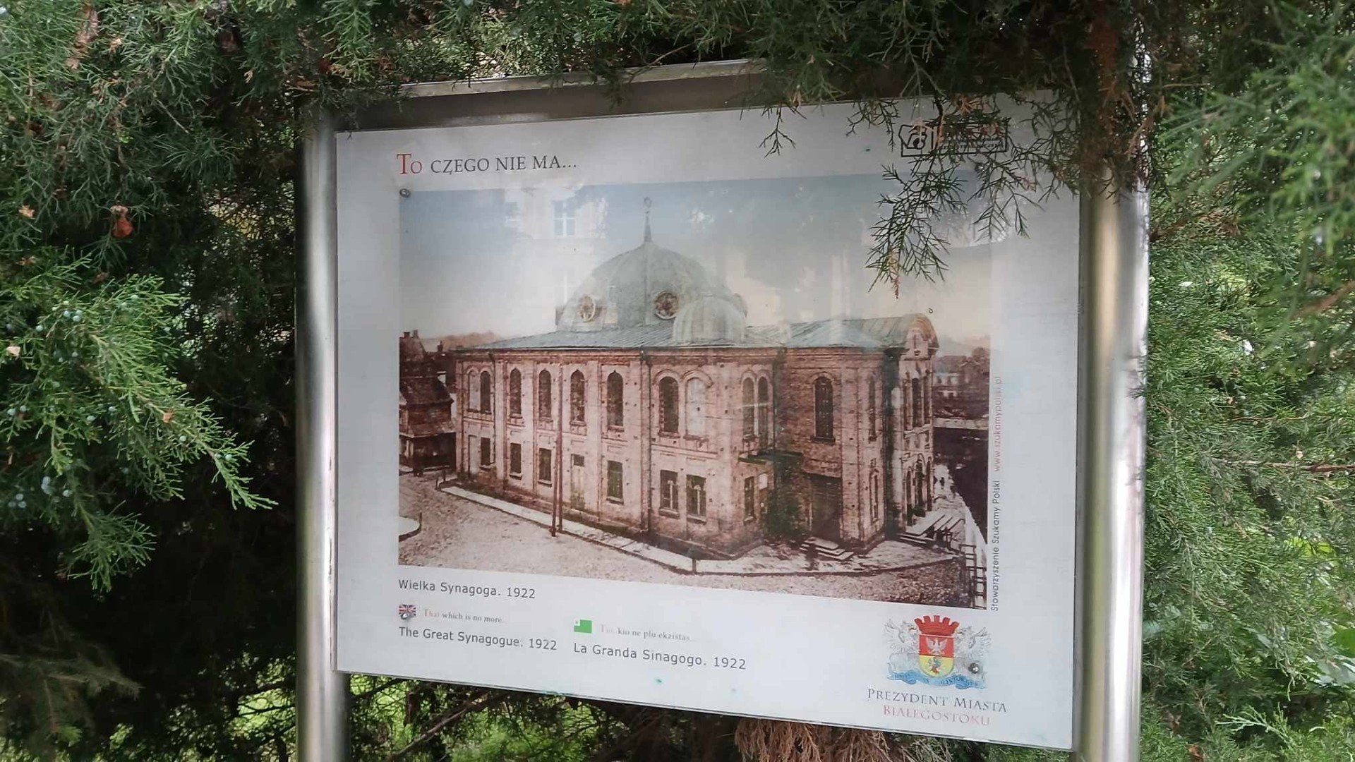 Wielka Synagoga