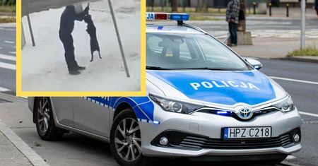 Miał się nim opiekować. Policja wie, kto oddał psa pod opiekę sadysty