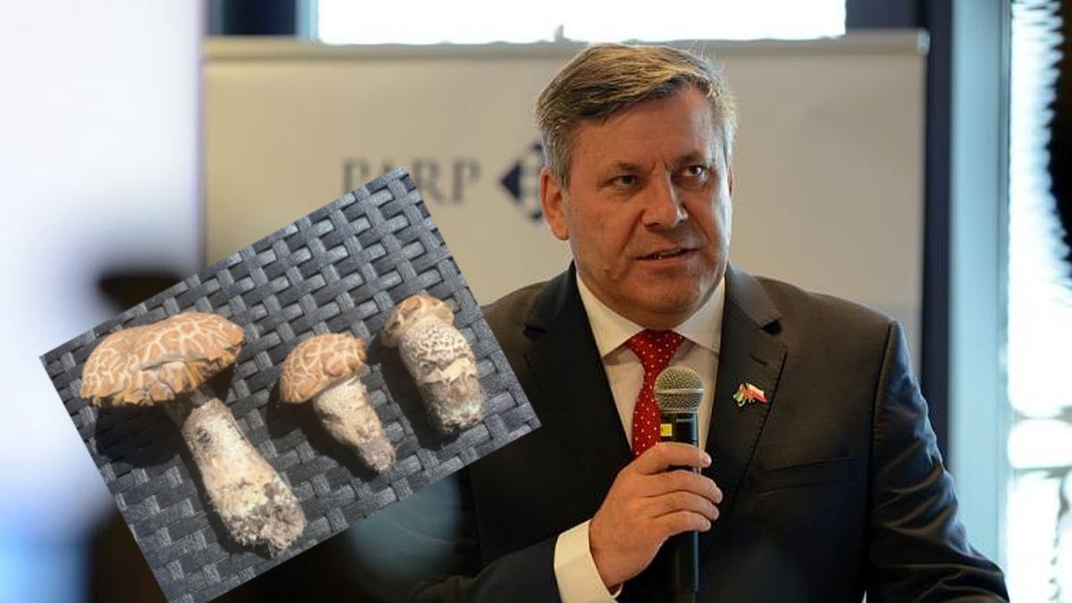 Piechociński zaprezentował efekty grzybobrania. Narzeka na suszę.
