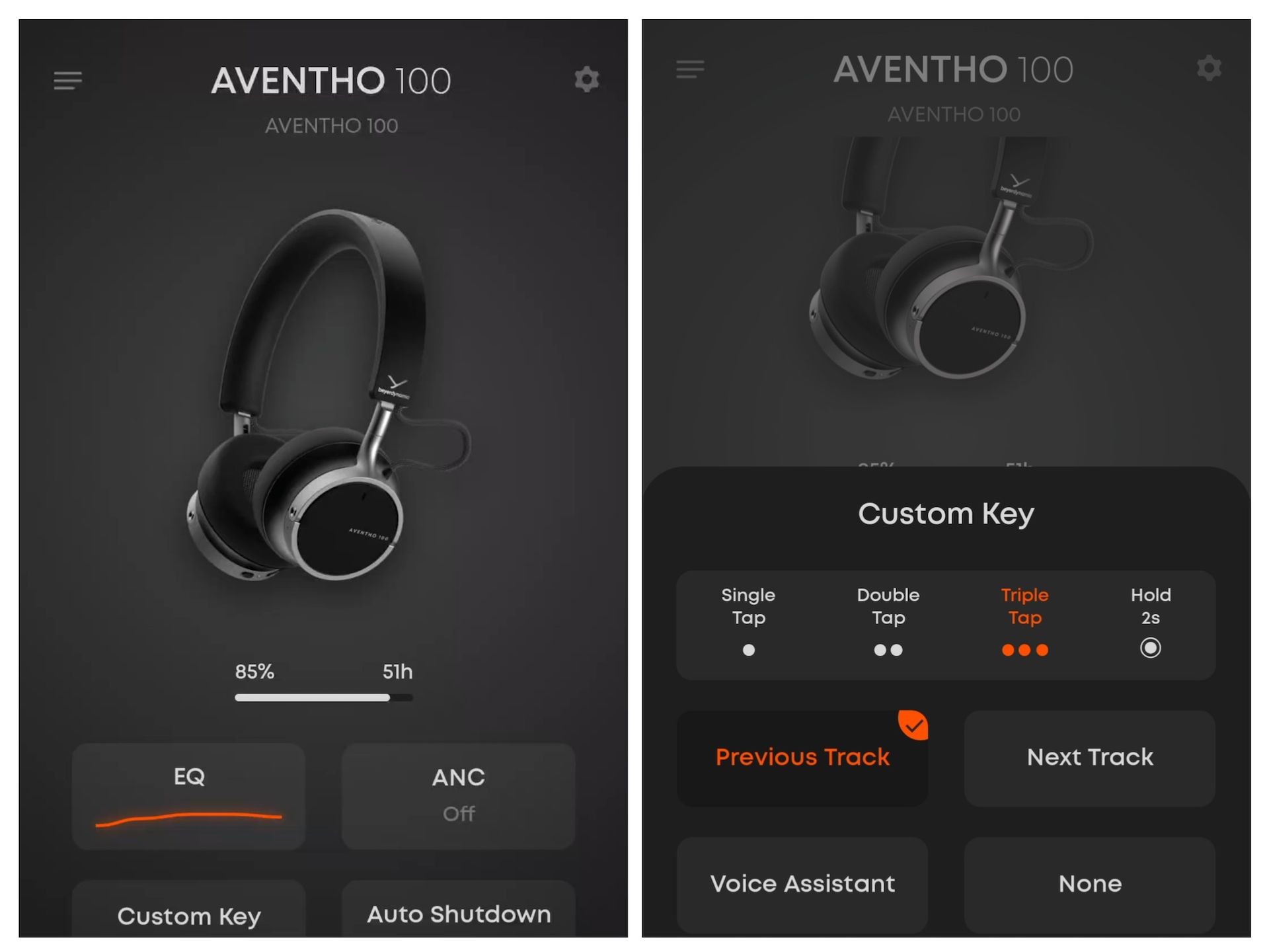 Beyerdynamic AVENTHO 100