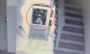 Świętował 18. urodziny. Policja pokazała, co zrobił