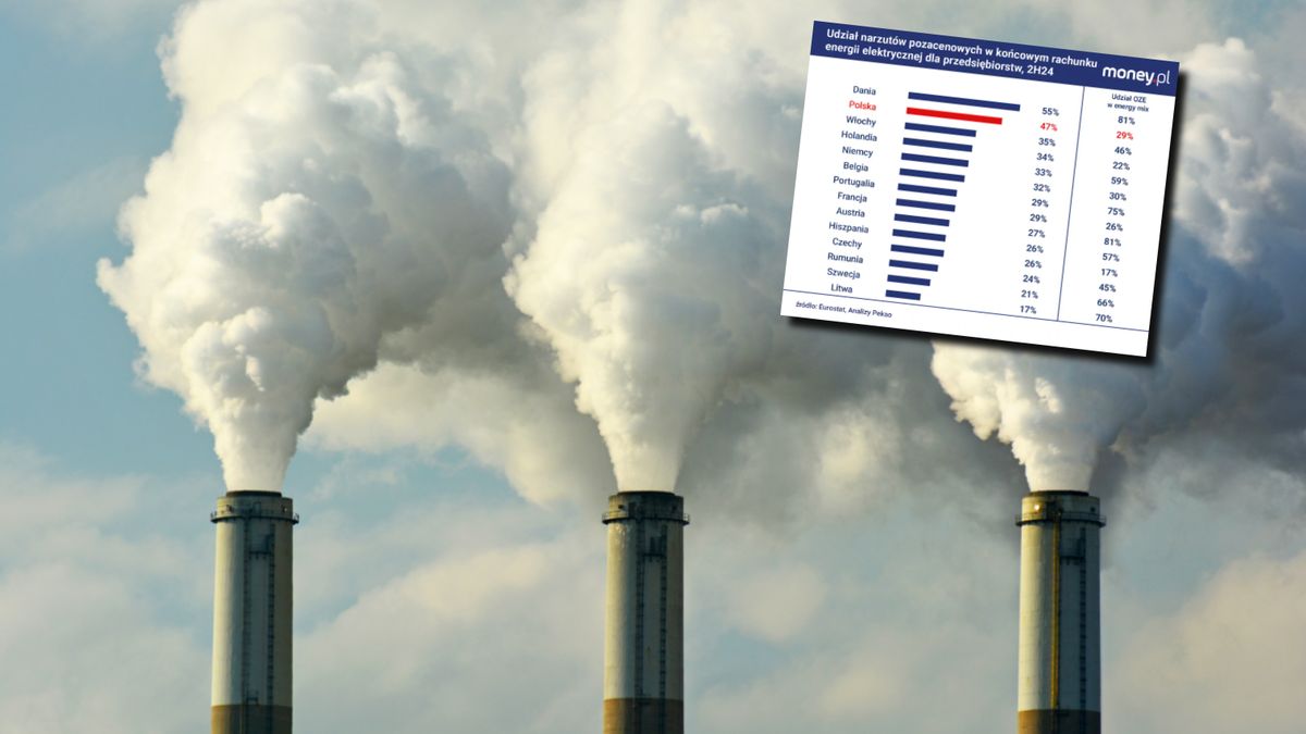 Analiza Pekao S.A.: Polska regionalnym liderem OZE, ale są znaki zapytania