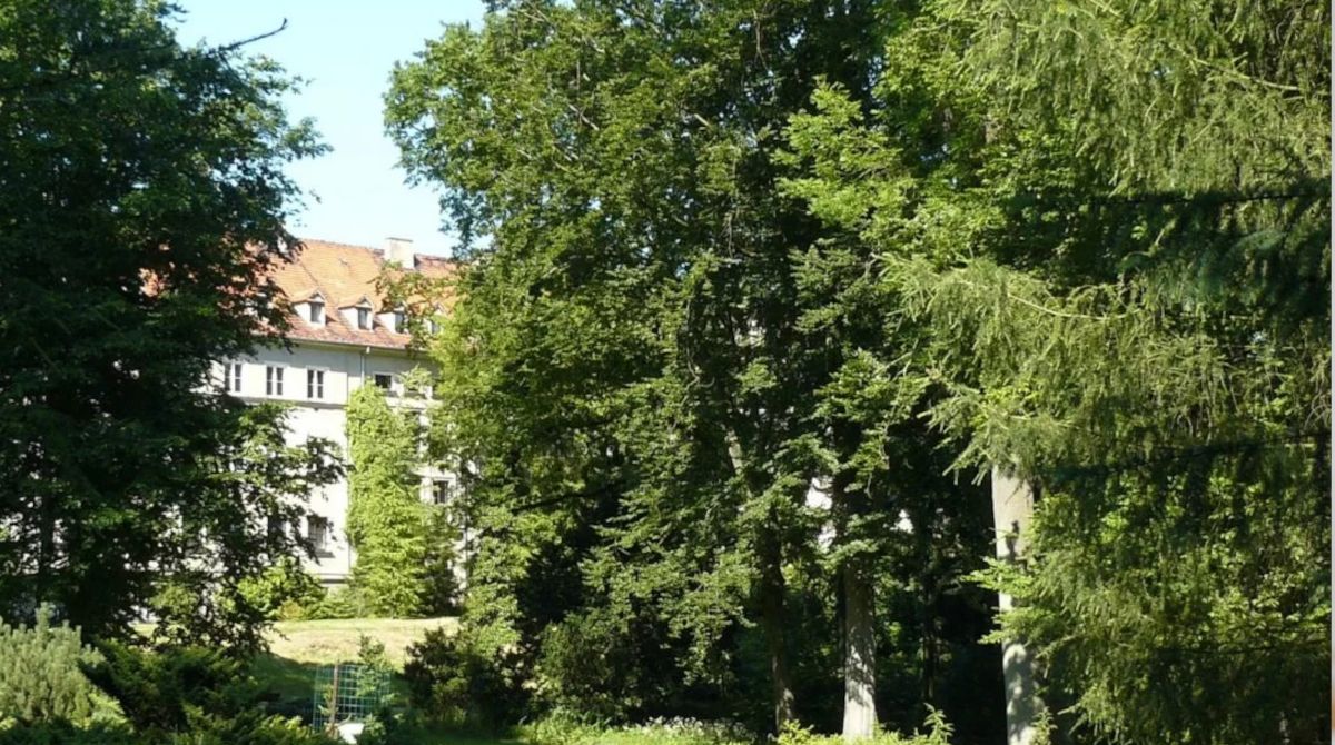 UP w Poznaniu szuka starych zdjęć Ogrodu Dendrologicznego.