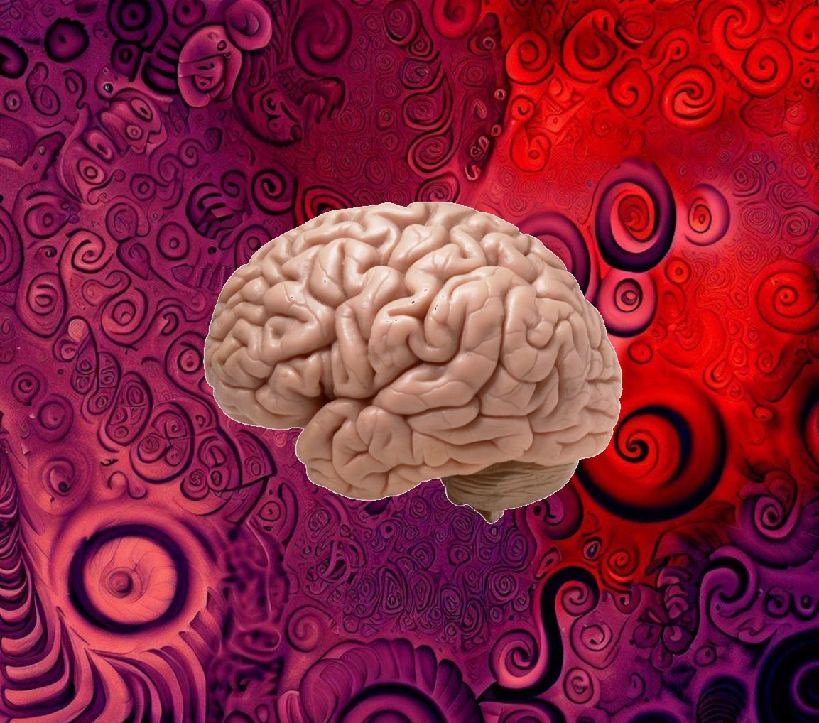 Tajemnicze sygnały w mózgu. Według naukowców organizują jego pracę