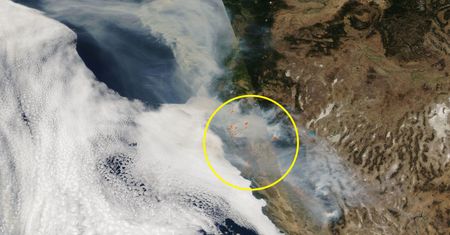 Zdjęcia satelitarne NASA pokazują stan pożarów w USA. Jest źle