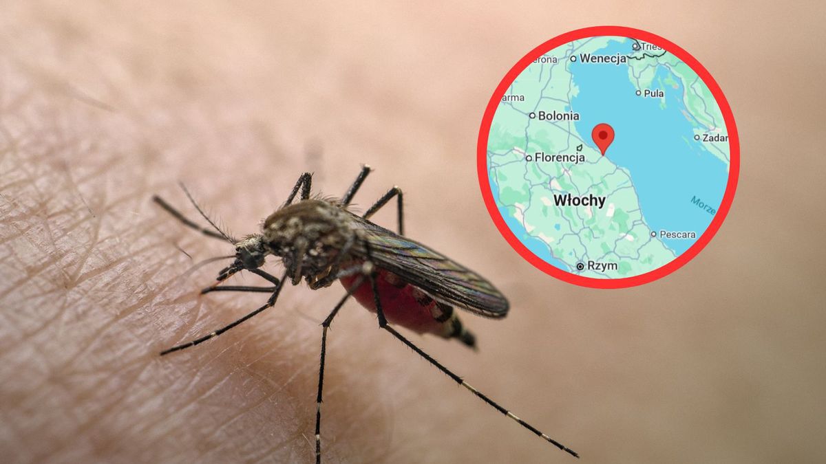 Włochy: Wirus Dengi w jednym z regionów