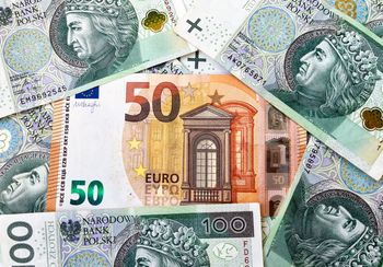 Co czeka złotego? Oczy ekspertów na euro