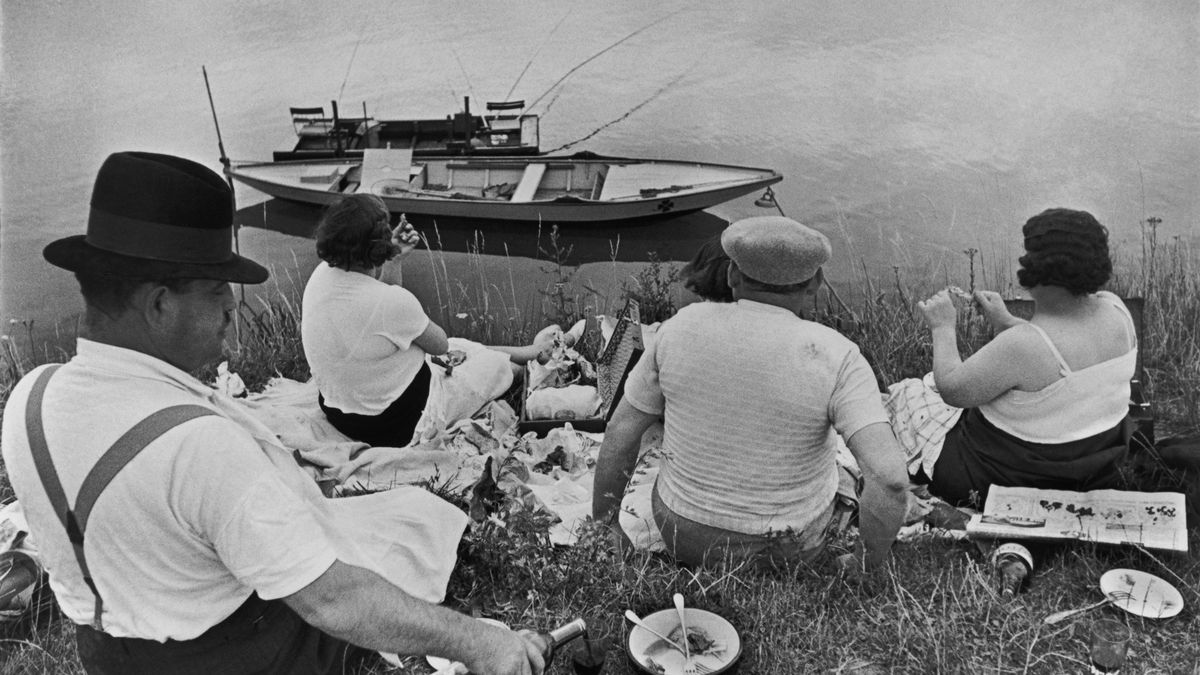 Nowojorskie Museum of Modern Art. udostępnia w Internecie swoje wystawy od 1929 roku zupełnie za darmo 1