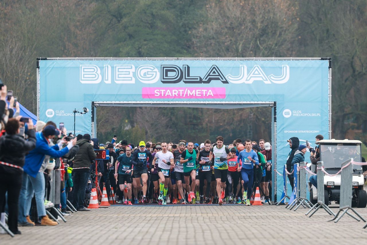 Poznań: Blisko 700 osób wystartowało w Biegu Głównym "Biegu Dla Jaj". Rywalizacja była na najwyższym poziomie. Zobaczcie zdjęcia