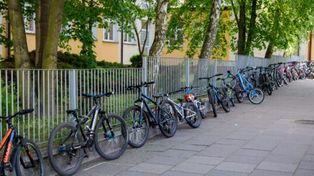 Rekordowa mobilizacja młodych rowerzystów. Rozstrzygnięto "Rowerowy Maj" w Płocku
