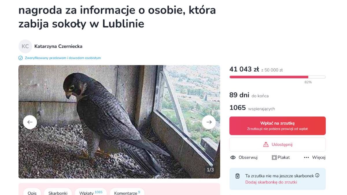 Internetowa zbiórka pieniędzy na nagrodę dla osoby, która wskażę sprawcę otrucia sokoła Czarta