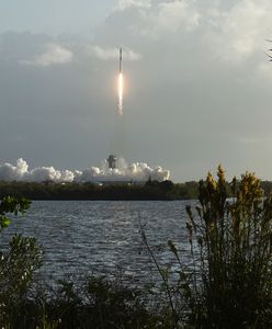 Nowe satelity Starlink już na orbicie. Kosmiczny pociąg coraz dłuższy