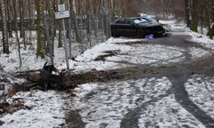 Szalony "rajd" pijanego kierowcy. Audi kolegi wylądowało na drzewie