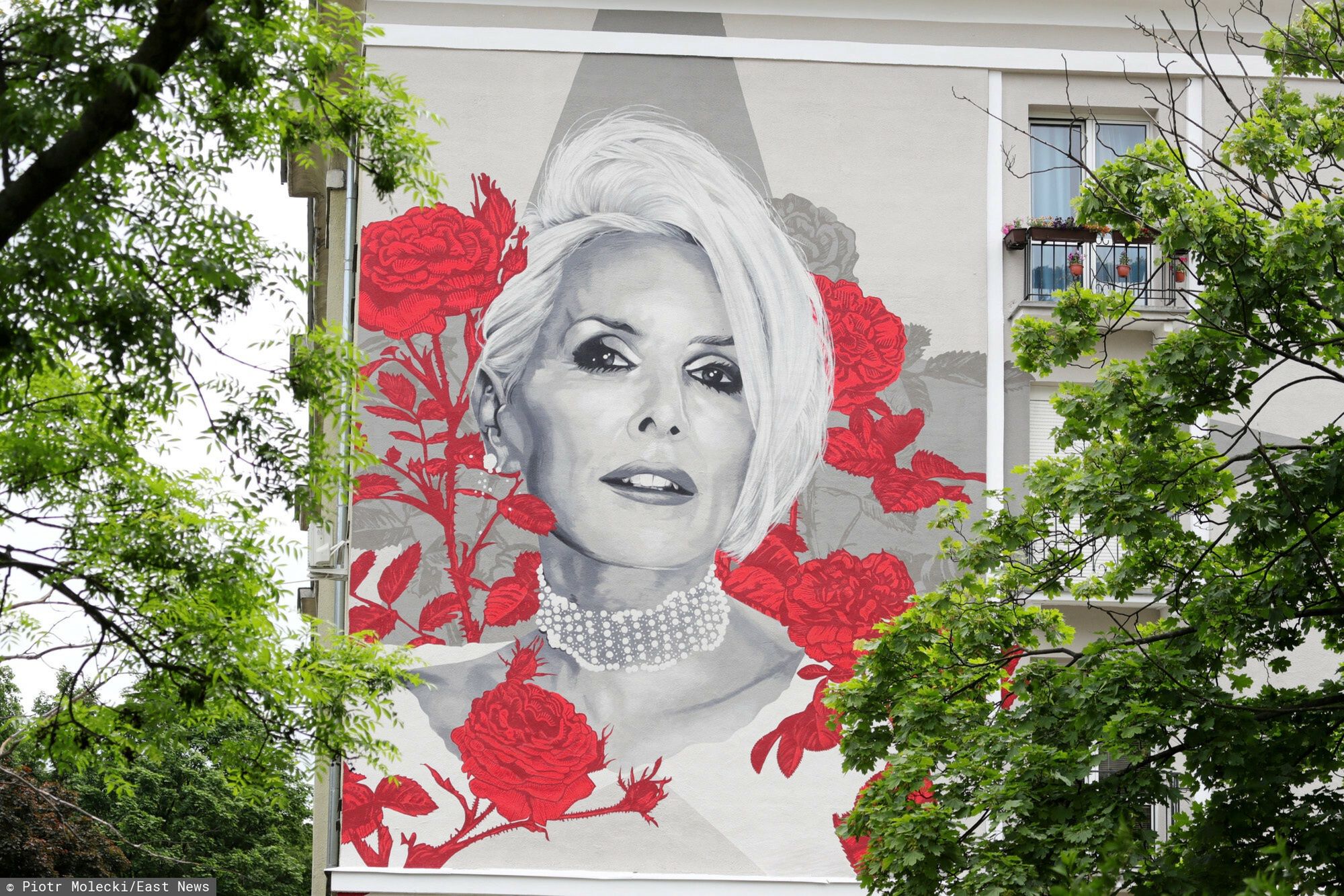 Mural Kory na budynku przy ul. Żeromskiego 44/50 w Warszawie