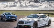 Bentley Continental GT3 doczeka się drogowego odpowiednika
