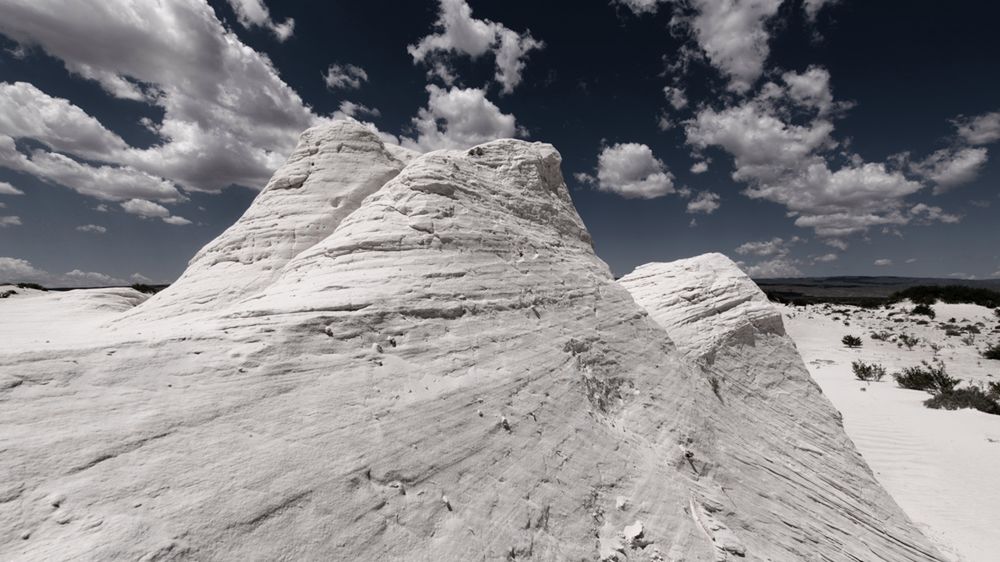 Nydia Lilian opowiada na czym polega magia fotografii przyrody 1