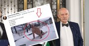 Janusz Korwin-Mikke "morsuje". W samych majtkach tarza się w śniegu [WIDEO]