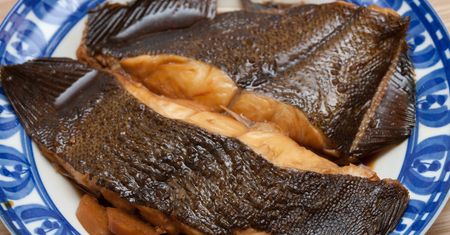 Chuda i tania ryba z Bałtyku. Niesłusznie przegrywa z dorszem