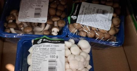 Leżą w sklepie obok pieczarek, ale mało kto kupuje. Świetnie pasują do pierogów i mięs