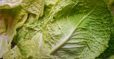 Jest w każdym warzywniaku, ale wielu nie docenia. Wzmacnia kości, reguluje cholesterol