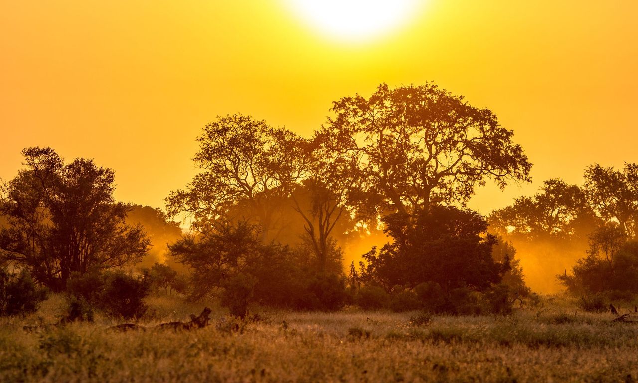 Kenijski rezerwat skrywa w sobie wiele krajobrazów.