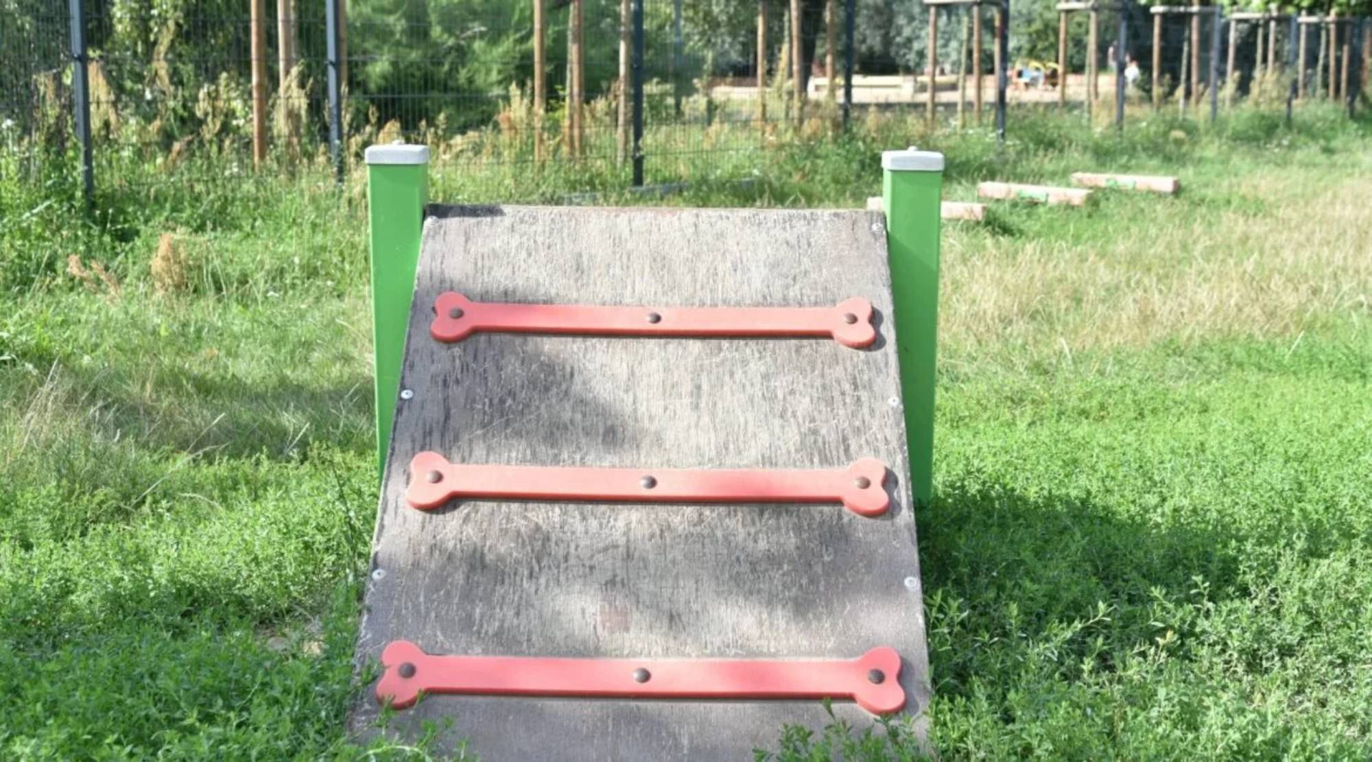Nowy wybieg dla psów w Poznaniu