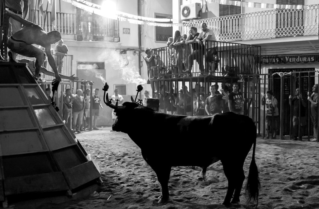Znamy wyniki La Grande PHOTO International Photography Awards 2016 11