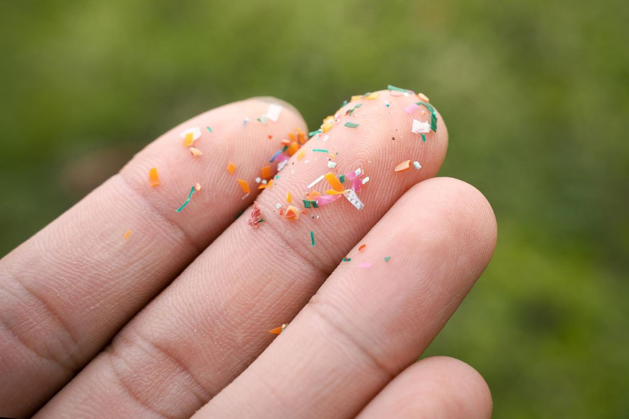 Mikroplastik przyspiesza miażdżycę. Ta grupa jest najbardziej narażona