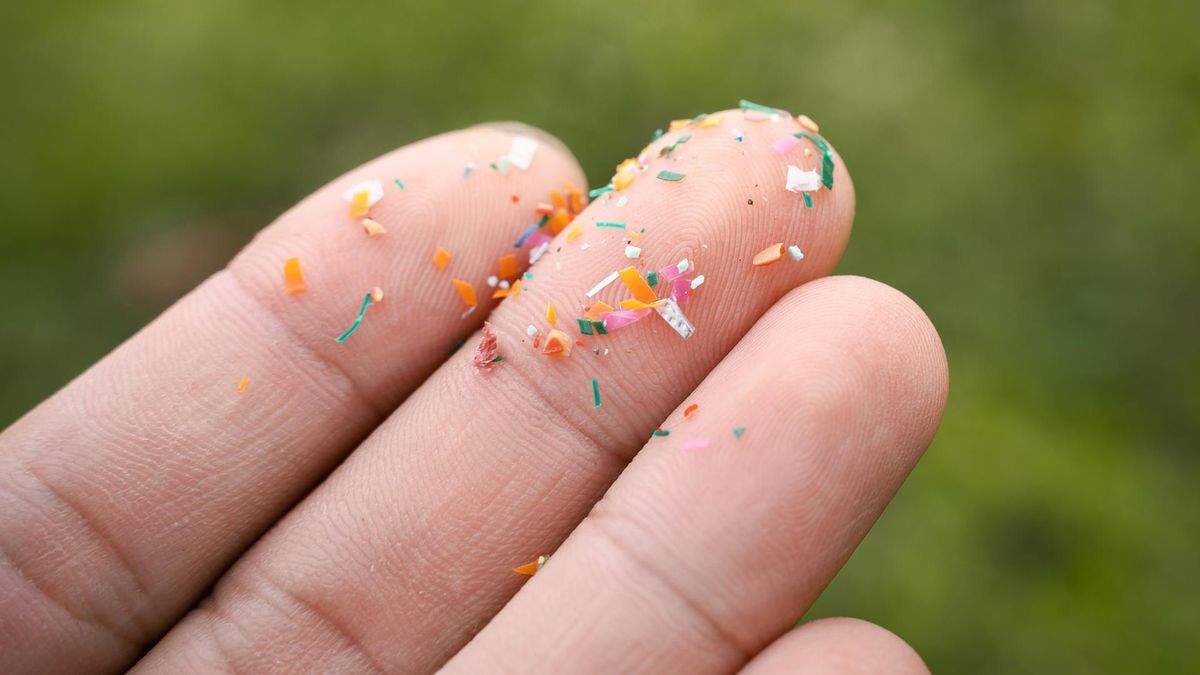 Groźne cząsteczki plastiku przyczyniają się do miażdżycy. Nowe badania zaskakują