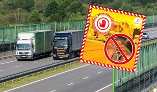 Jajka z Ukrainy z zakazem sprzedaży w Polsce. To odkryły służby