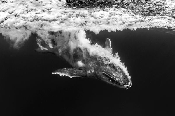 Znamy zwycięzców Travel Photographer of the Year 2015 19