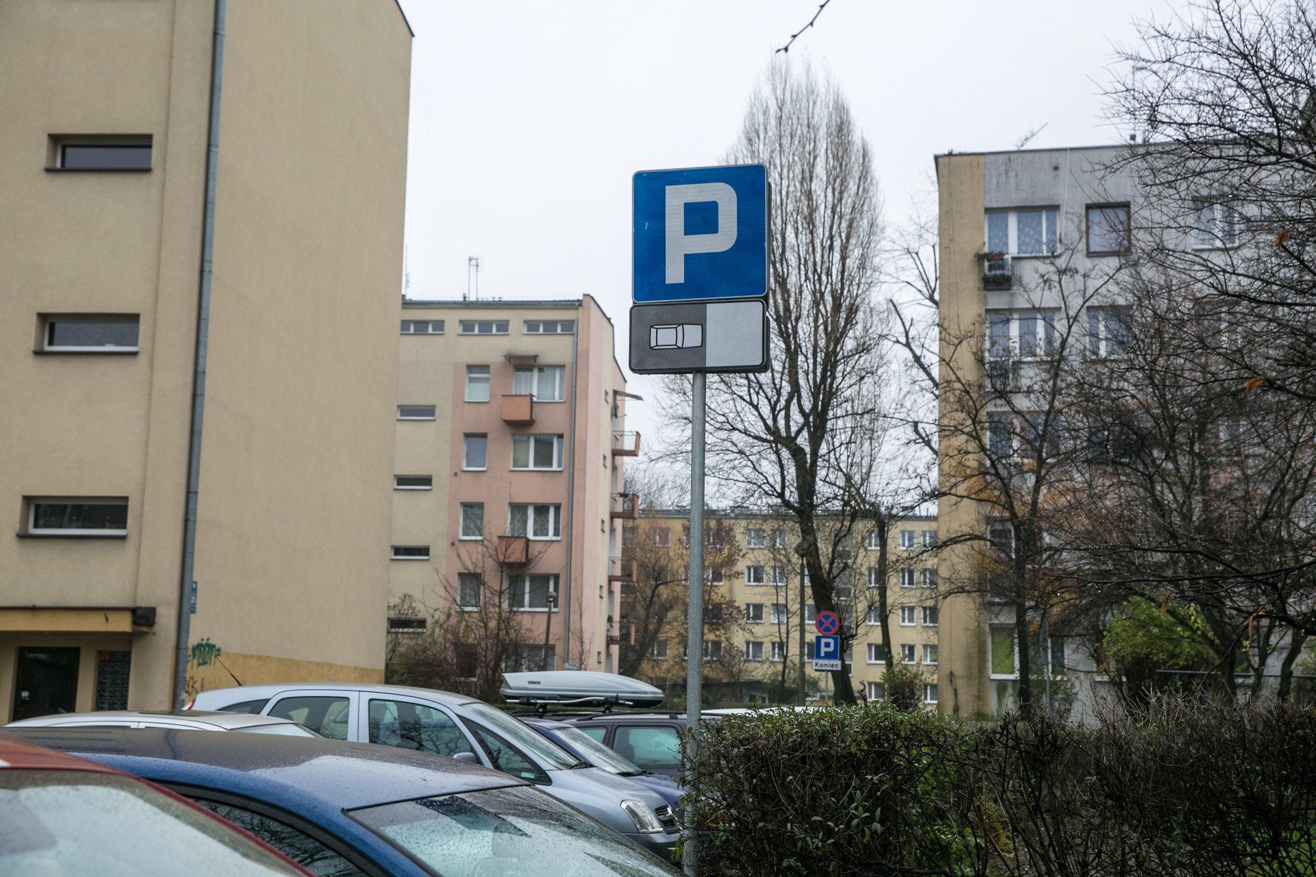 Zdjęcie podglądowe